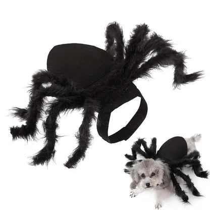 Halloween Spider Costume For Dogs