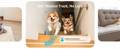 2 Pcs Blurams Indoor Security Camera