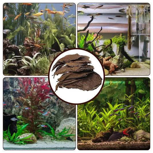 Aquarium Tank Accessories