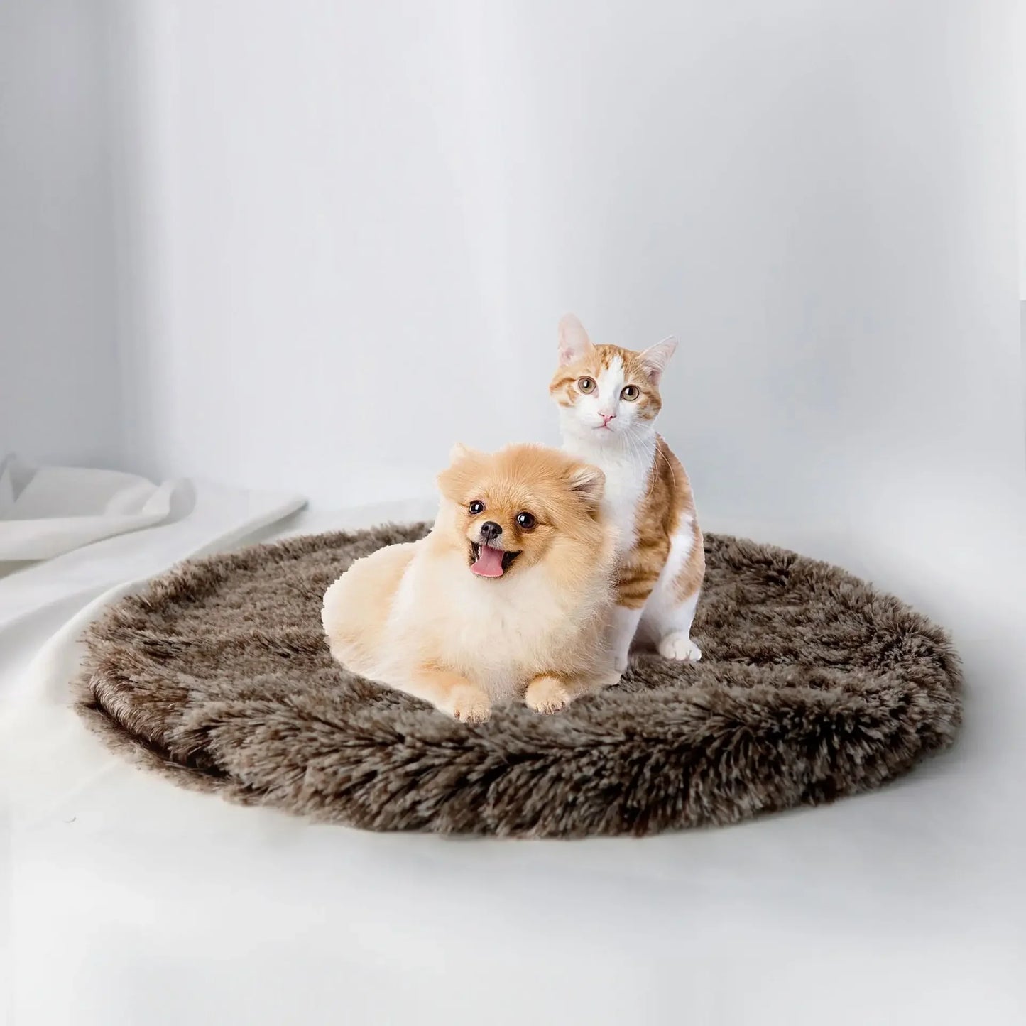 Pet Bed Mat