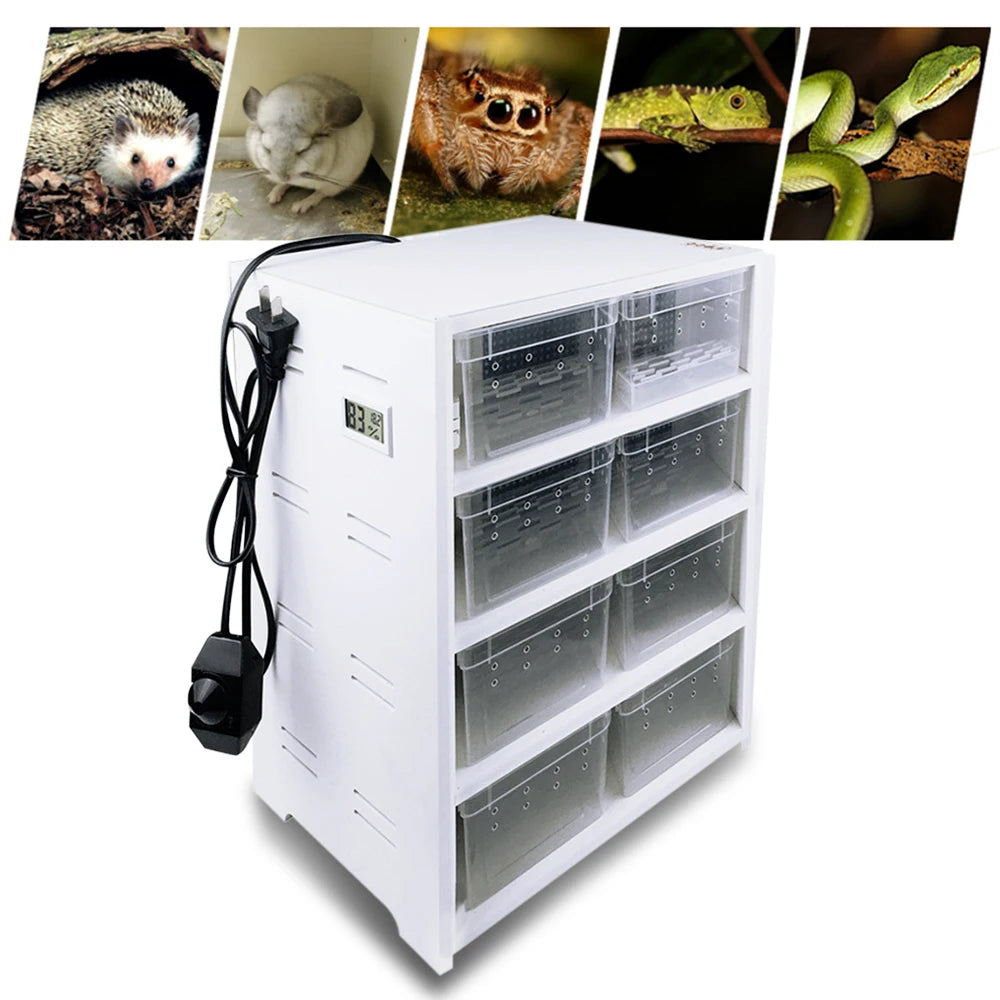 8 Compartment Reptile Breeding Boxes