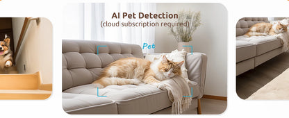 2 Pcs Blurams Indoor Security Camera