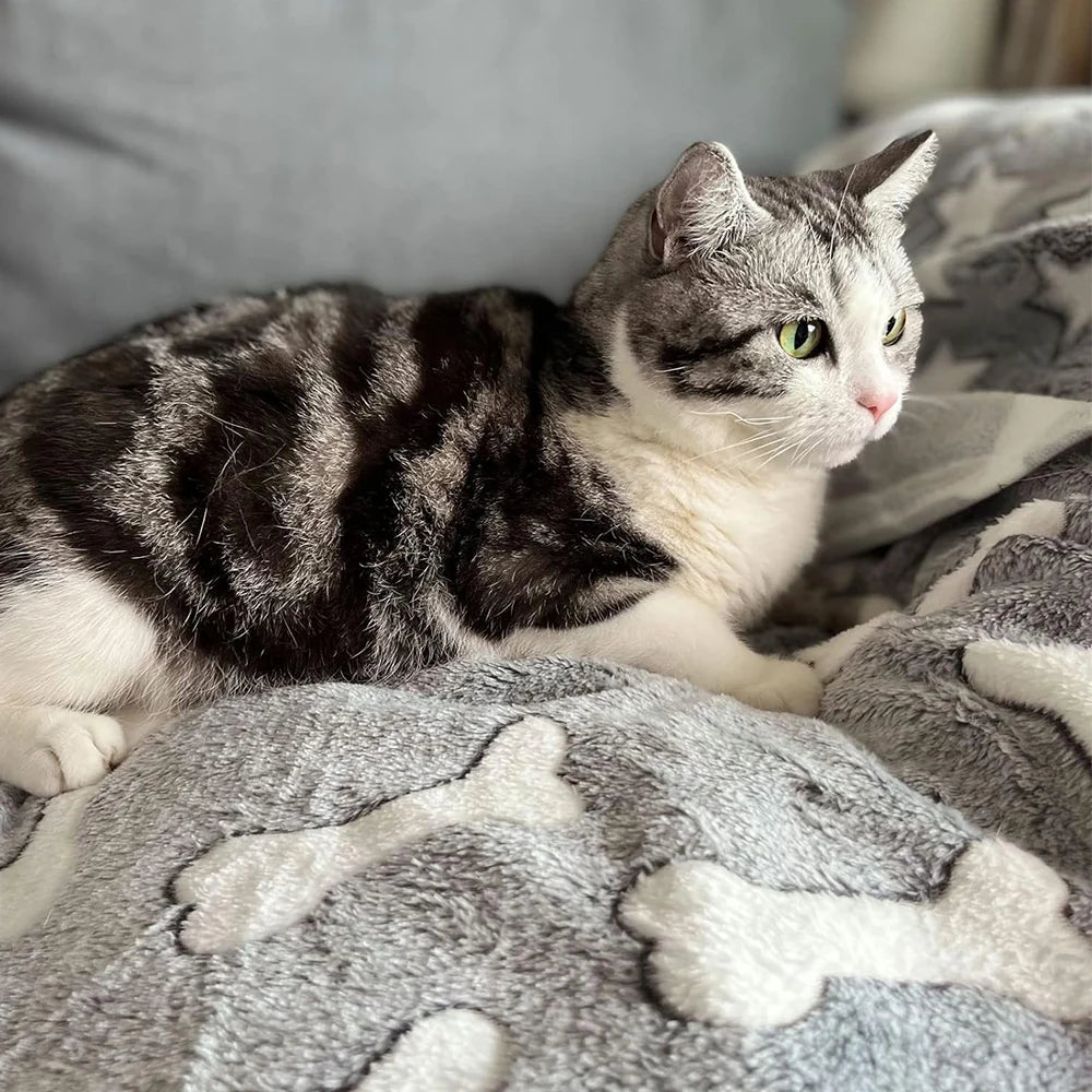 Soft, Fluffy, High Quality Pet Blanket