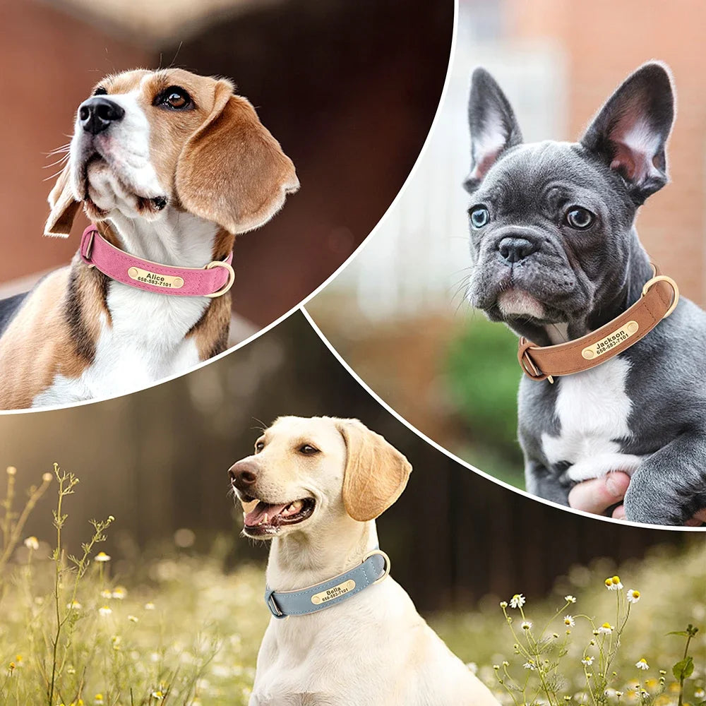 Personalized Leather Dog Collar