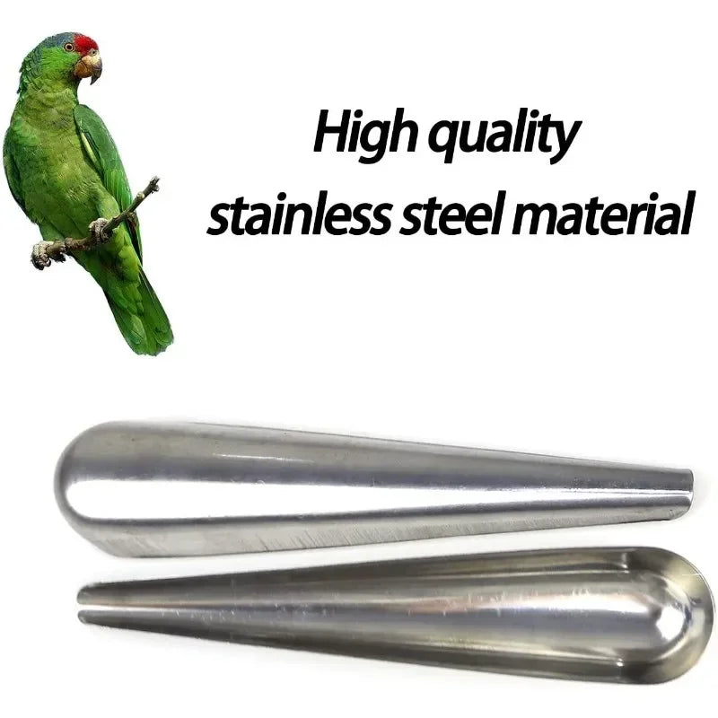 Stainless Steel Bird Feeding Spoon