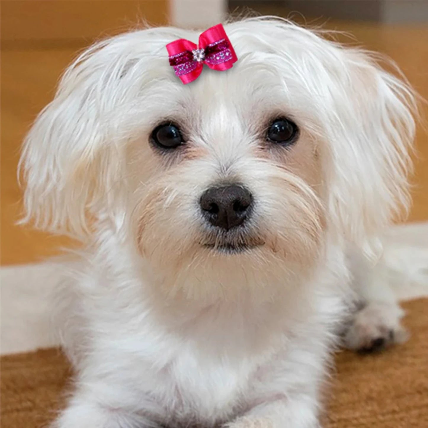 20pcs Pet Hair Bows with Rhinestone & Flowers