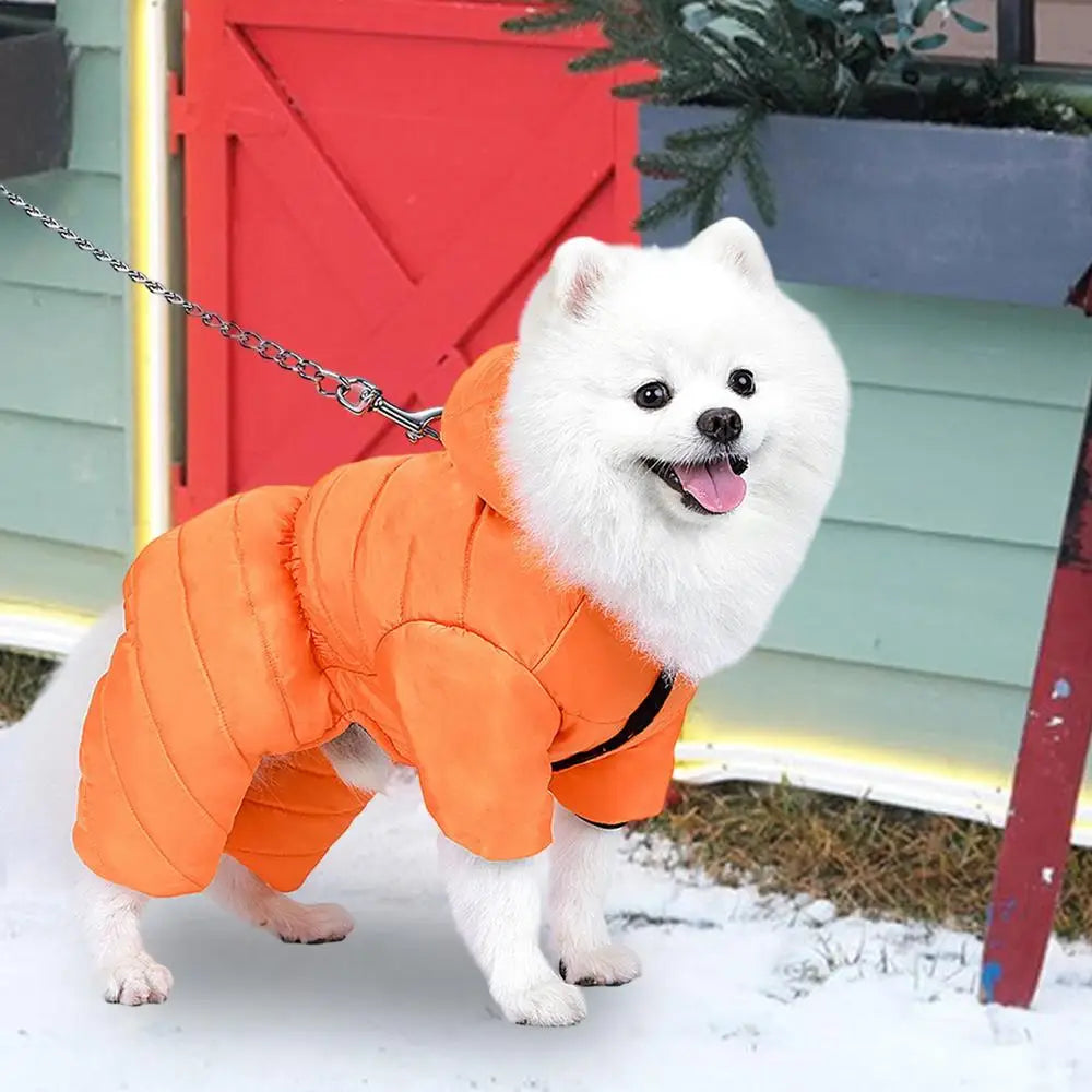 Cold Weather Dog Jacket