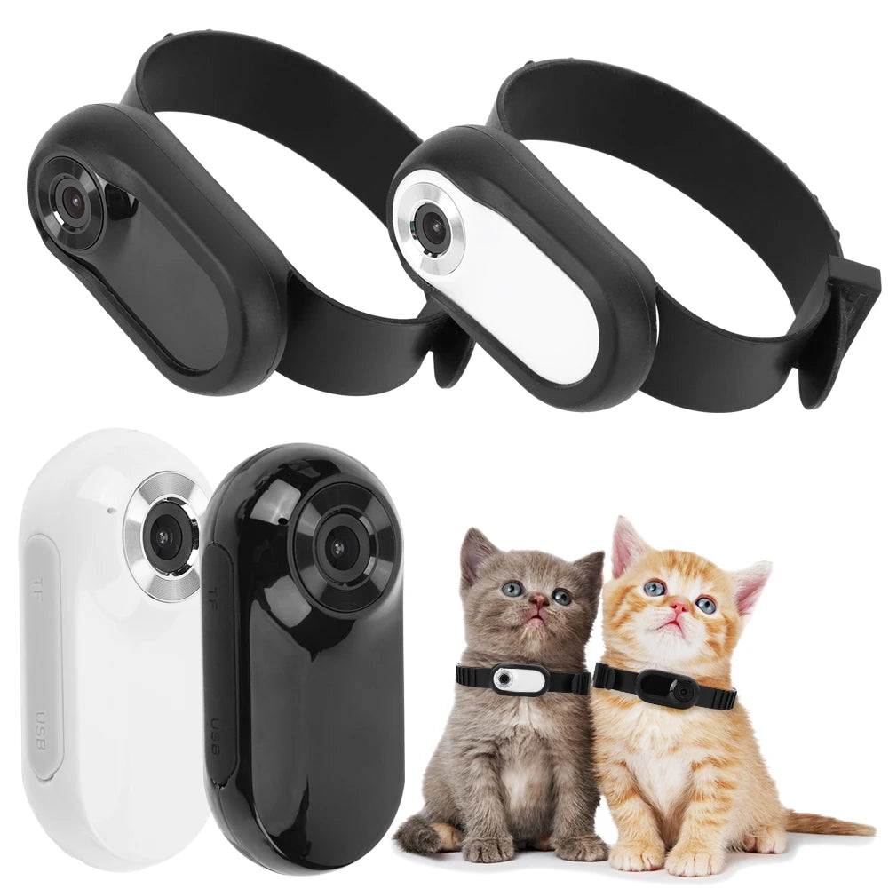 Pet Collar Camera With Video