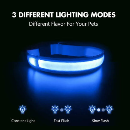 USB Rechargeable LED Dog Collar