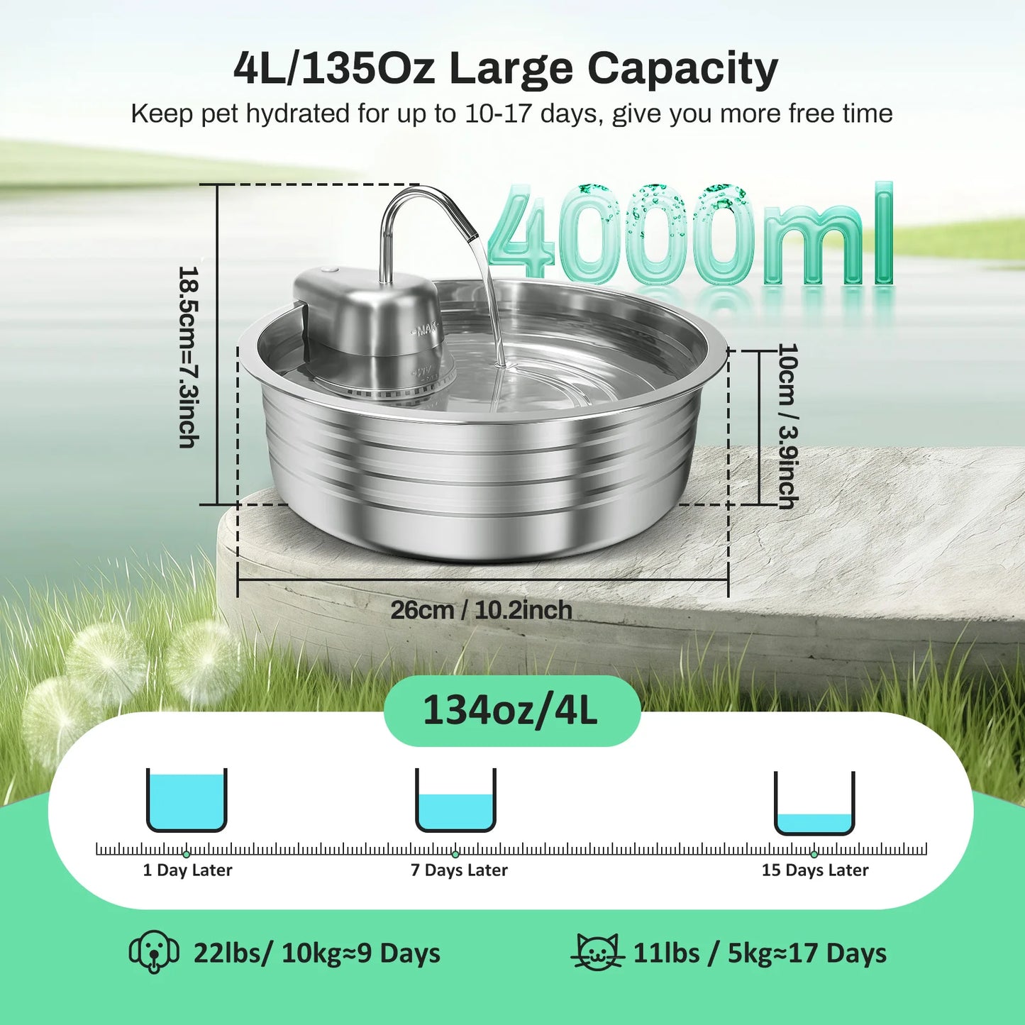 Stainless Steel Cat Water Fountain