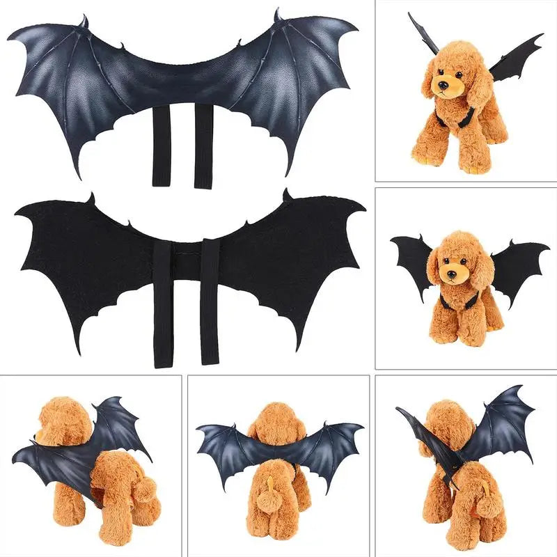 Halloween Bat Wings Costume for Pets