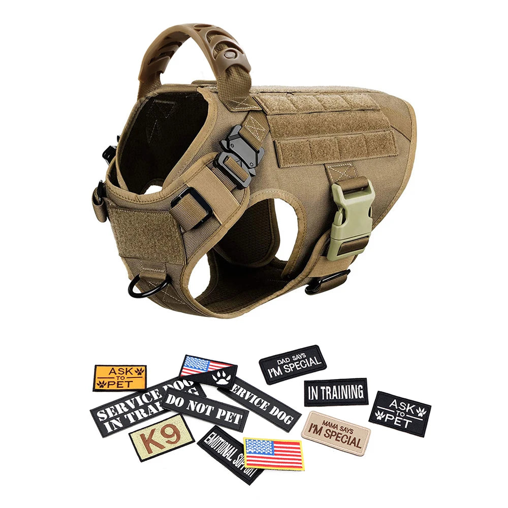 Military Style Large Dog Harness Collar & Accessories