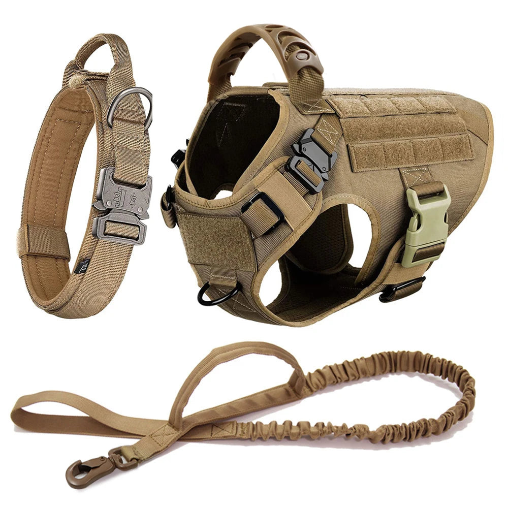 Training/Walking Vest  Set for Medium to Large Dogs