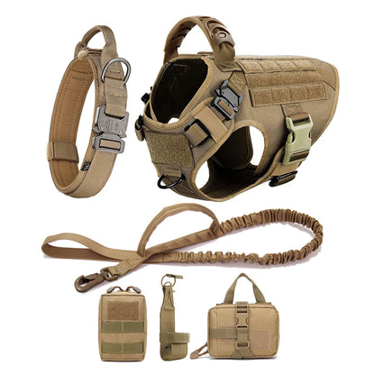 Training/Walking Vest  Set for Medium to Large Dogs