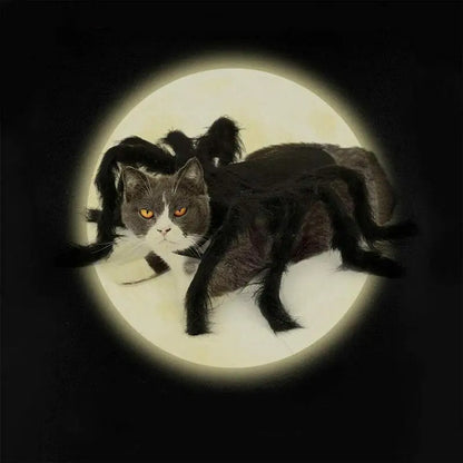 Halloween Spider Costume For Dogs