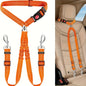 Seatbelt Safety Harness For 2 Pets